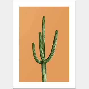 Saguaro Cactus Posters and Art